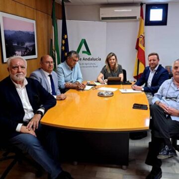 El Consejo Andaluz de Mediadores de Seguros redobla sus esfuerzos para conseguir el aseguramiento de las actividades industriales